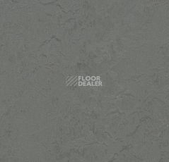 Кварцвиниловые полы Marmoleum Modular t3745 Cornish grey фото 1 | FLOORDEALER